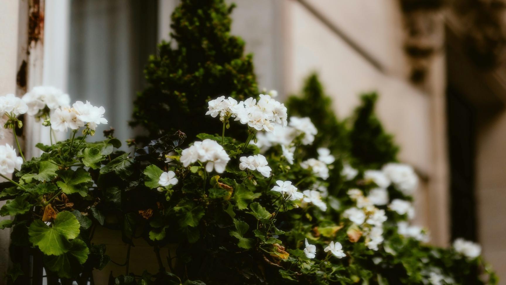 Student working on game development project